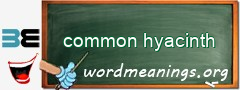 WordMeaning blackboard for common hyacinth